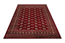 Teppich Ariana 880 Red 200 x 290 cm