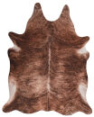 In-/Outdoor Teppich Toledo 194 Brown